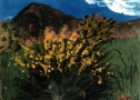 Ginestra - Acrilico su tela - cm 40 x 50