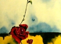 La rosa - Acquerello su cartoncino - cm 50 x 35