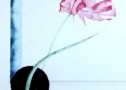Un fiore - Acquerello su cartoncino - cm 50 x 35