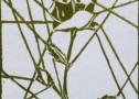 La rosa - Xilografia - cm 15 x 10