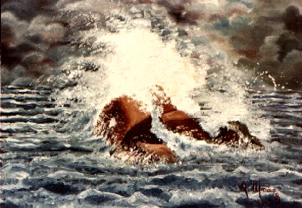 Mareggiata