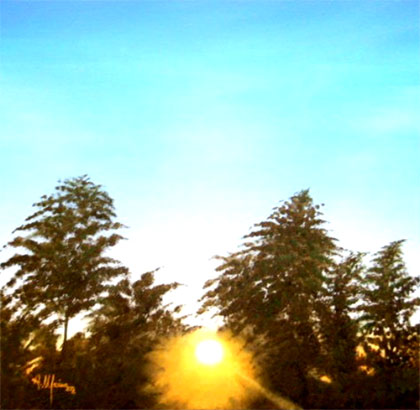Il sole muore