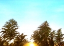 Il sole muore - Olio su tela - cm 50 x 50