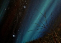 Aurora boreale - Olio su tela - cm 60 x 60
