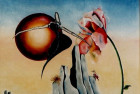 In volo