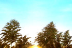 Il sole muore