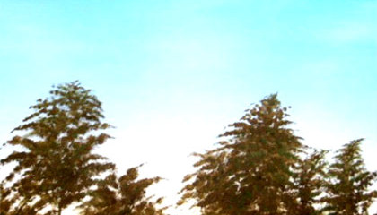The sun dies